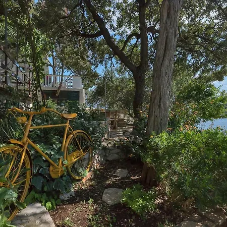 Ruza * Zastražišće